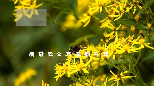 房贷欠2万逾期5年 房贷欠2万逾期5年