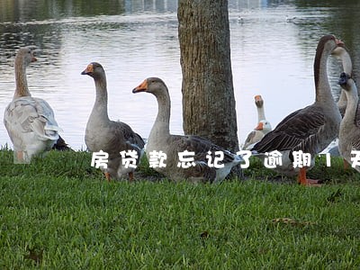 房贷款忘记了逾期1天 房贷款忘记了逾期1天