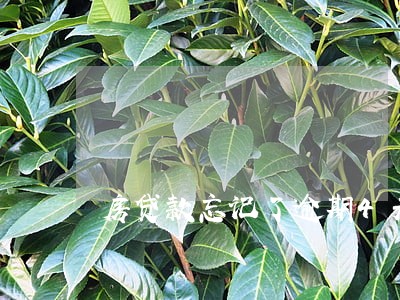 房贷款忘记了逾期4天怎么办 房贷款忘记了逾期4天怎么办