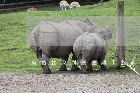 房贷款没到账逾期了怎么办 房贷款没到账逾期了怎么办