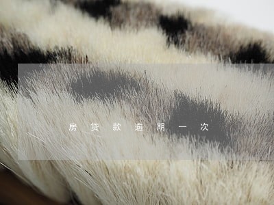 房贷款逾期一次 房贷款逾期一次