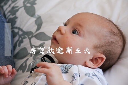 房贷款逾期五天 房贷款逾期五天