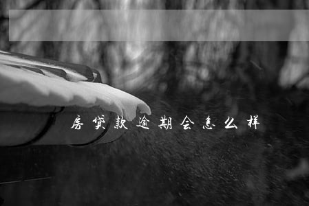 房贷款逾期会怎么样