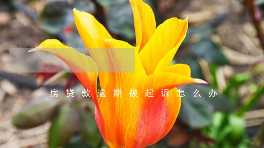 房贷款逾期被起诉怎么办 房贷款逾期被起诉怎么办