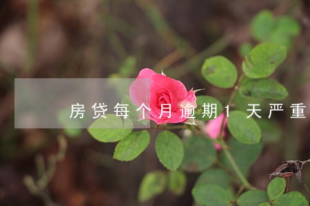 房贷每个月逾期1天严重吗 房贷每个月逾期1天严重吗
