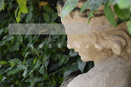 房贷没看短信逾期7天 房贷没看短信逾期7天