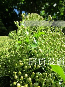 房贷没逾期网贷逾期了 房贷没逾期网贷逾期了