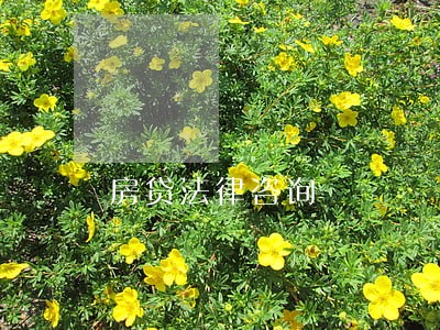 房贷法律咨询 房贷法律咨询
