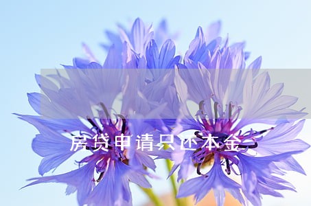 房贷申请只还本金 房贷申请只还本金
