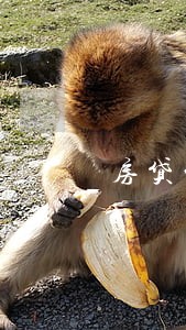 房贷的时候网贷逾期了两千块 房贷的时候网贷逾期了两千块