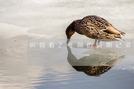 房贷看2年前的逾期记录吗 房贷看2年前的逾期记录吗