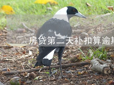 房贷第二天补扣算逾期吗光大银行 房贷第二天补扣算逾期吗光大银行