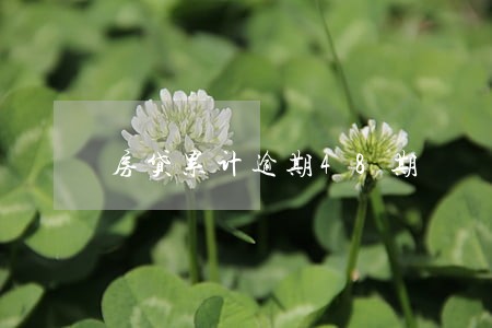 房贷累计逾期48期 房贷累计逾期48期