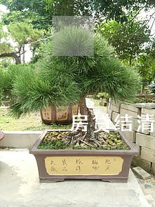 房贷结清但信用卡有逾期 房贷结清但信用卡有逾期