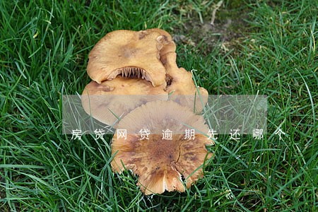 房贷网贷逾期先还哪个 房贷网贷逾期先还哪个