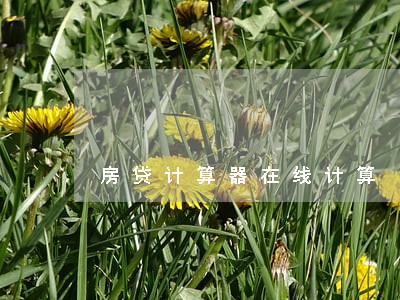 房贷计算器在线计算 房贷计算器在线计算