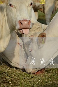 房贷贷款转逾期 房贷贷款转逾期