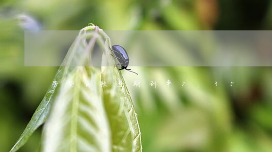 房贷贷款逾期利率7.35 房贷贷款逾期利率7.35