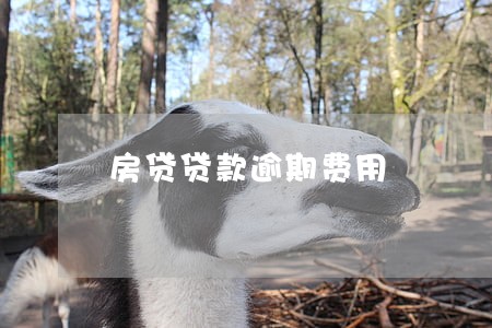 房贷贷款逾期费用 房贷贷款逾期费用