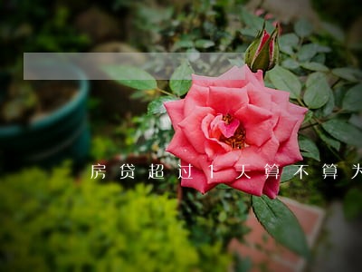 房贷超过1天算不算为逾期 房贷超过1天算不算为逾期