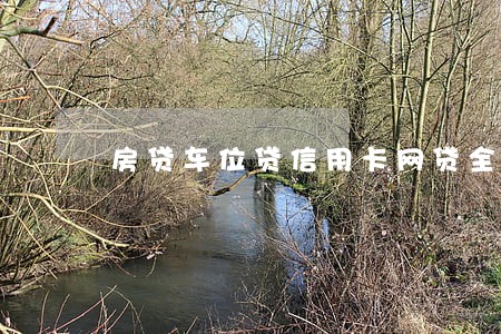 房贷车位贷信用卡网贷全部逾期 房贷车位贷信用卡网贷全部逾期