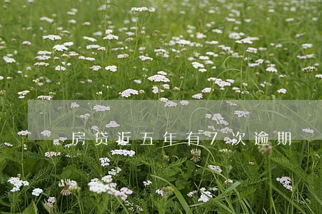 房贷近五年有7次逾期 房贷近五年有7次逾期