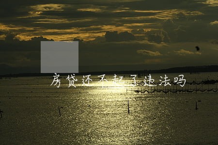房贷还不起了违法吗