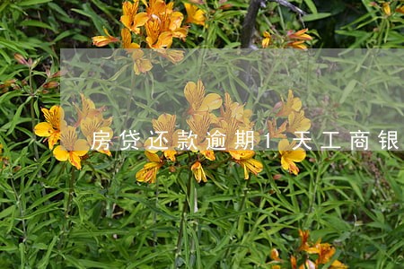 房贷还款逾期1天工商银行 房贷还款逾期1天工商银行