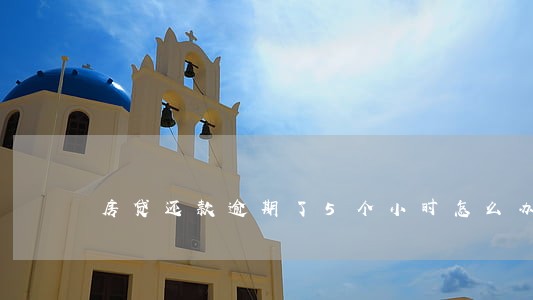 房贷还款逾期了5个小时怎么办 房贷还款逾期了5个小时怎么办