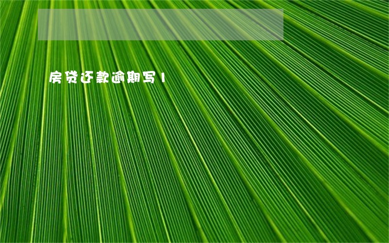 房贷还款逾期写1 房贷还款逾期写1