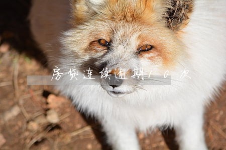 房贷连续逾期10次 房贷连续逾期10次