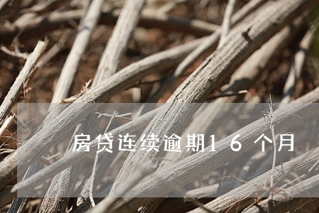 房贷连续逾期16个月 房贷连续逾期16个月