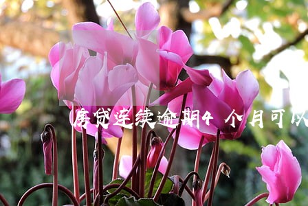 房贷连续逾期4个月可以协商吗 房贷连续逾期4个月可以协商吗