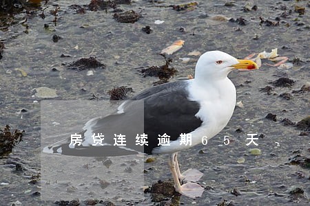 房贷连续逾期65天 房贷连续逾期65天