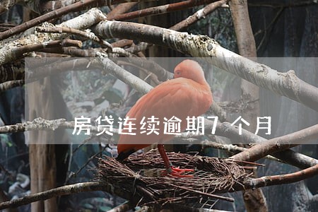房贷连续逾期7个月 房贷连续逾期7个月