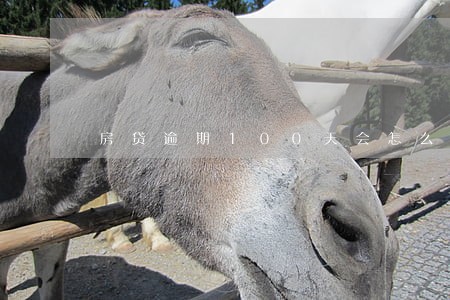 房贷逾期100天会怎么样 房贷逾期100天会怎么样