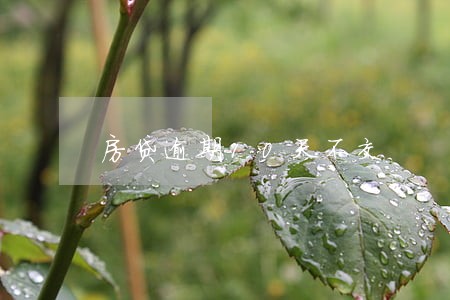 房贷逾期10天不交 房贷逾期10天不交