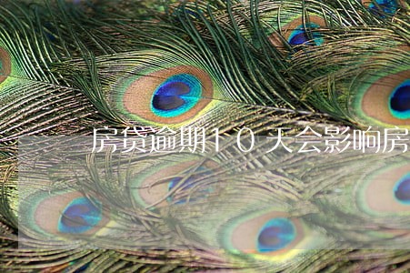 房贷逾期10天会影响房产吗