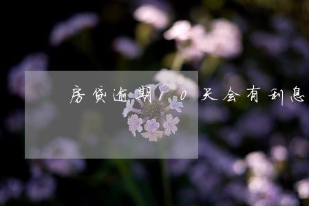 房贷逾期10天会有利息吗