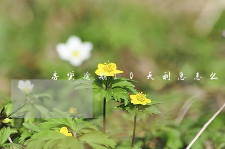 房贷逾期10天利息怎么计算器 房贷逾期10天利息怎么计算器