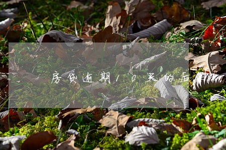 房贷逾期10天的后果