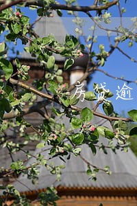 房贷逾期10天罚息