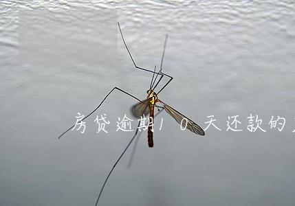 房贷逾期10天还款的后果