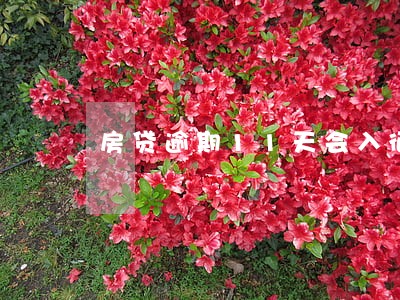 房贷逾期11天会入征信 房贷逾期11天会入征信