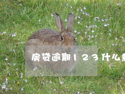 房贷逾期123什么意思 房贷逾期123什么意思