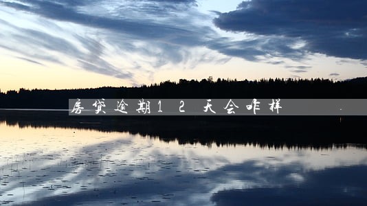 房贷逾期12天会咋样 房贷逾期12天会咋样