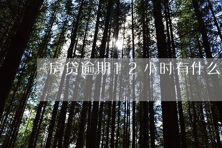 房贷逾期12小时有什么影响 房贷逾期12小时有什么影响
