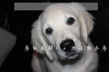房贷逾期12次还能办房产证吗 房贷逾期12次还能办房产证吗