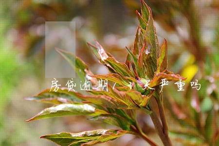 房贷逾期13天严重吗 房贷逾期13天严重吗