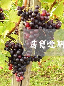 房贷逾期15天会上征信吗
